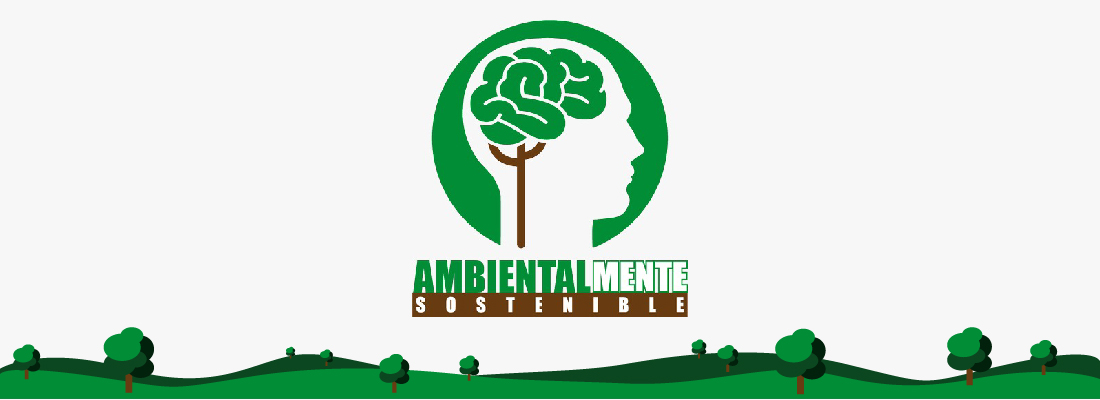 Gestión ambiental de TransMilenio