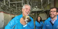 Alcalde Enrique Peñalosa con mascota en el TransMiCable