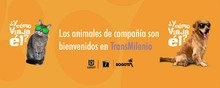 Los animales de compañía son bienvenidos en TransMilenio