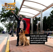 Los animales de compañía son bienvenidos en TransMilenio